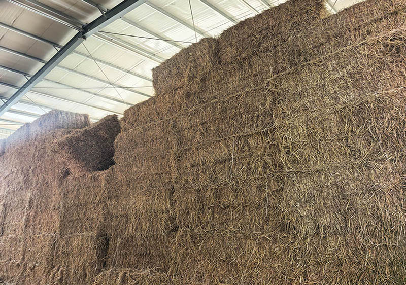 牛羊马干草饲料